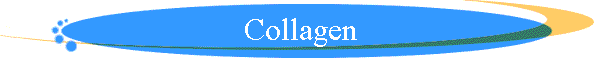 Collagen