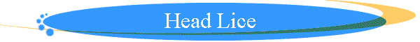 Head Lice