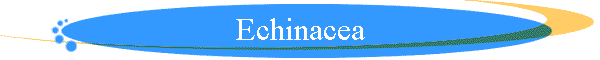 Echinacea