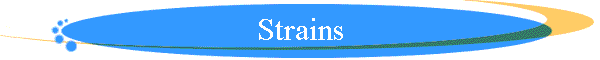 Strains